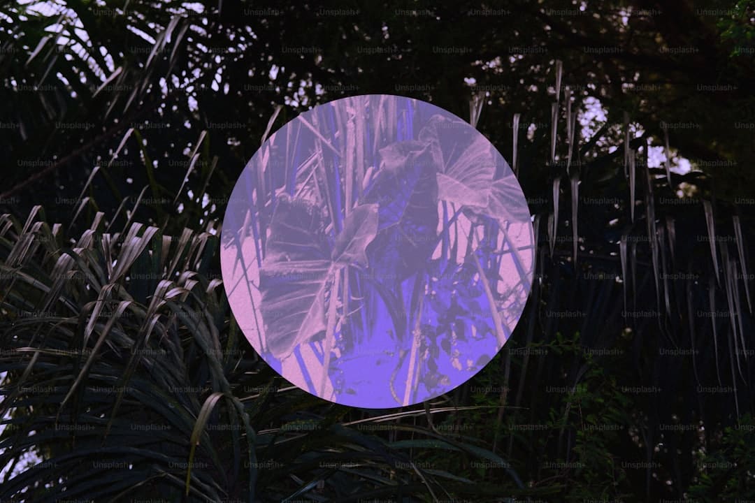 北交所顶格打新竟然只能中碎股